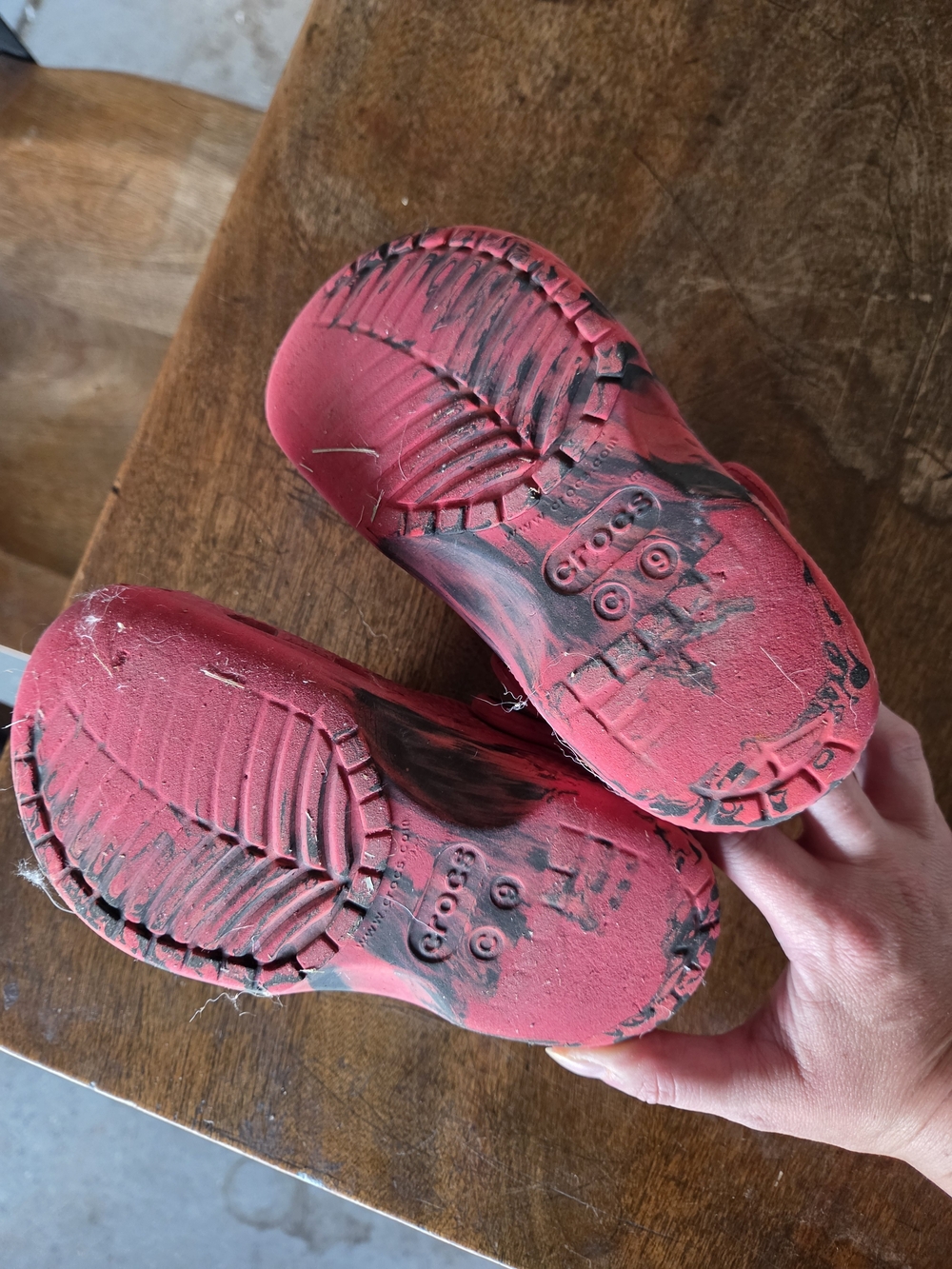 Toddler Crocs - Picture 2 of 2